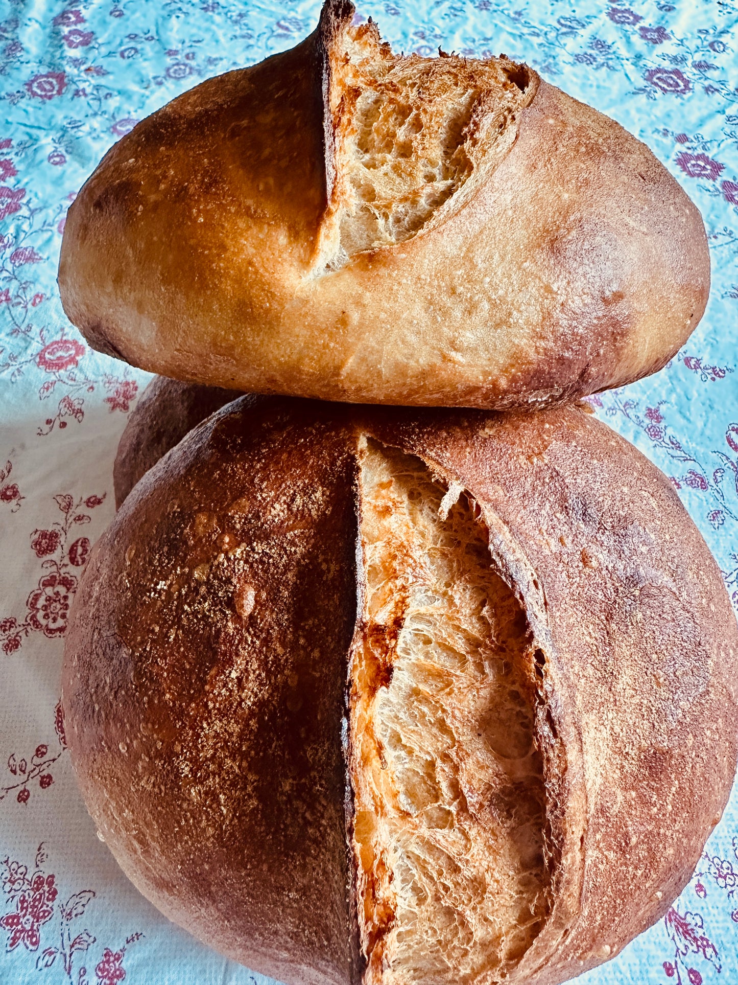 Organic Sourdough Boule